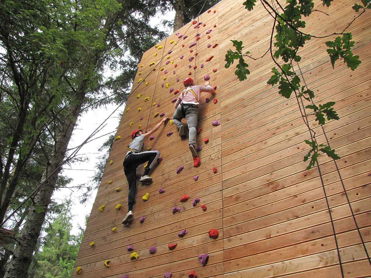 mur d'escalade dans un accrobranche